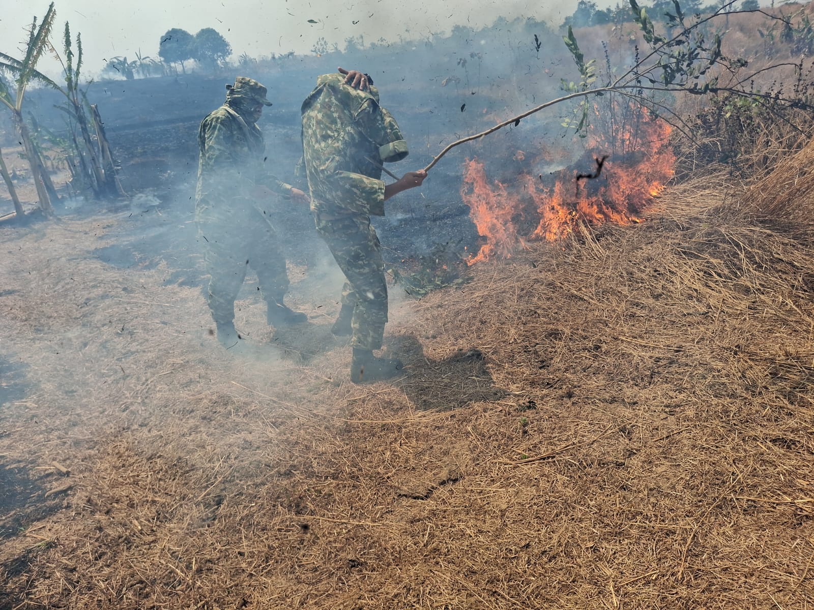Kebakaran Lahan Hutan  Cipondoh Cikawung Berhasil Dipadamkan, TNI dan Perhutani Bergerak Cepat