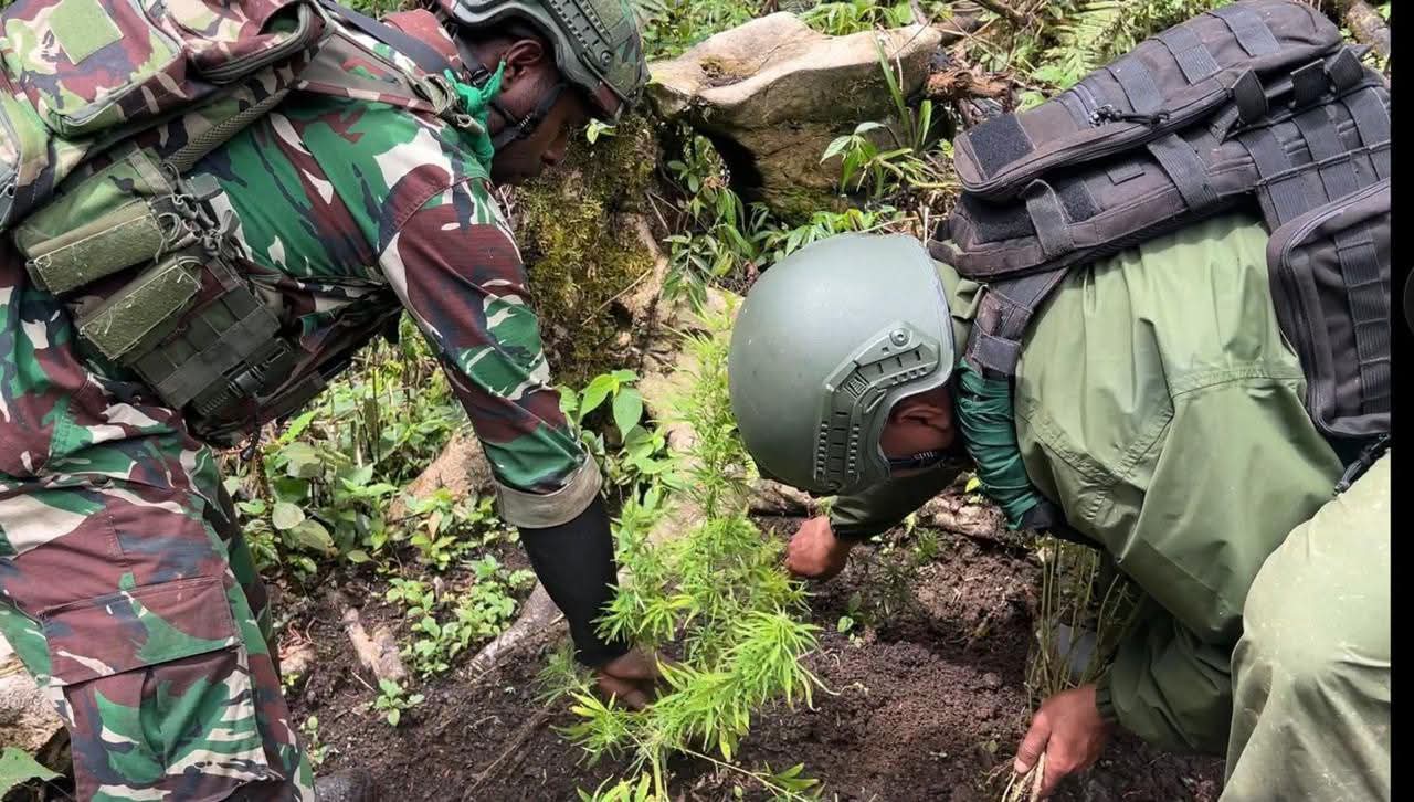 Berhasil Amankan Ribuan Batang Ganja di Oksibil, Pangkogabwilhan III Beri Penghargaan kepada Prajurit TNI